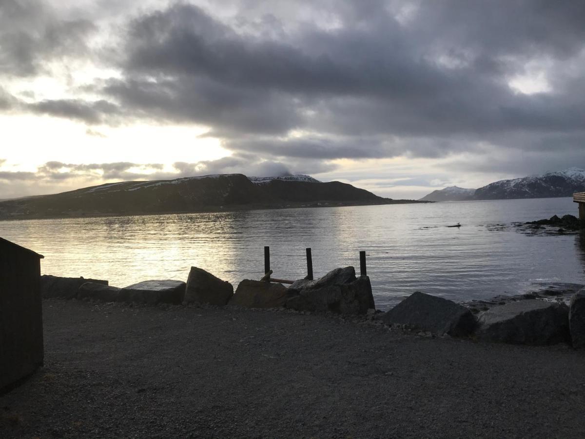 Lofoten Havfiske ليكنيز المظهر الخارجي الصورة