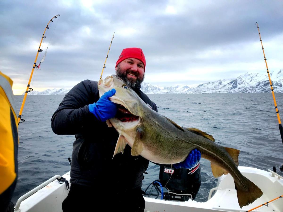 Lofoten Havfiske ليكنيز المظهر الخارجي الصورة