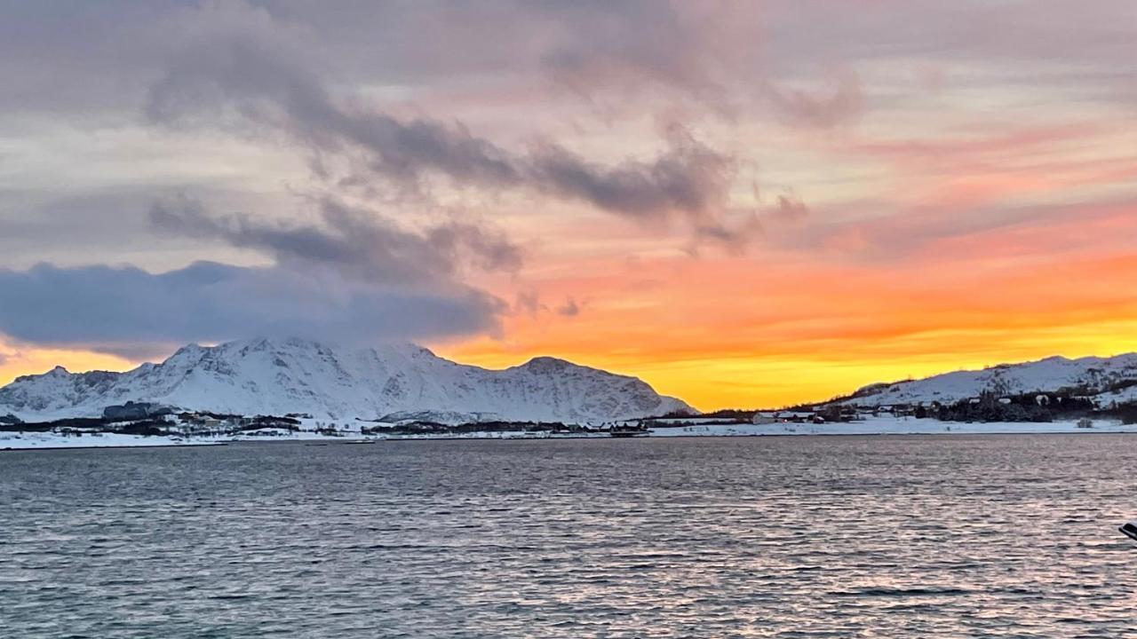 Lofoten Havfiske ليكنيز المظهر الخارجي الصورة