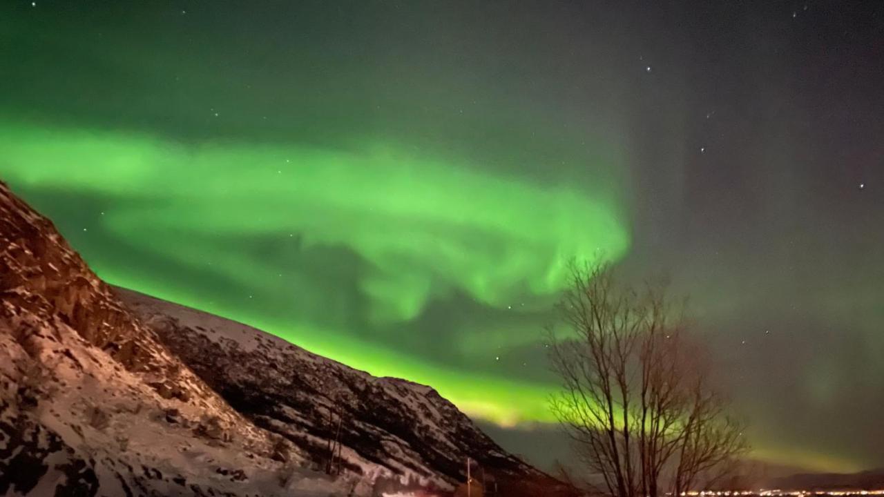 Lofoten Havfiske ليكنيز المظهر الخارجي الصورة