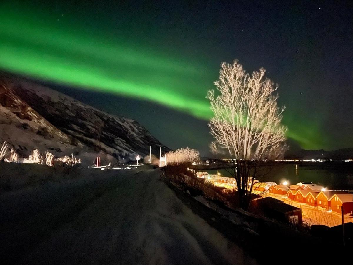Lofoten Havfiske ليكنيز المظهر الخارجي الصورة
