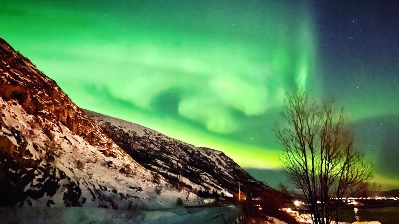 Lofoten Havfiske ليكنيز المظهر الخارجي الصورة
