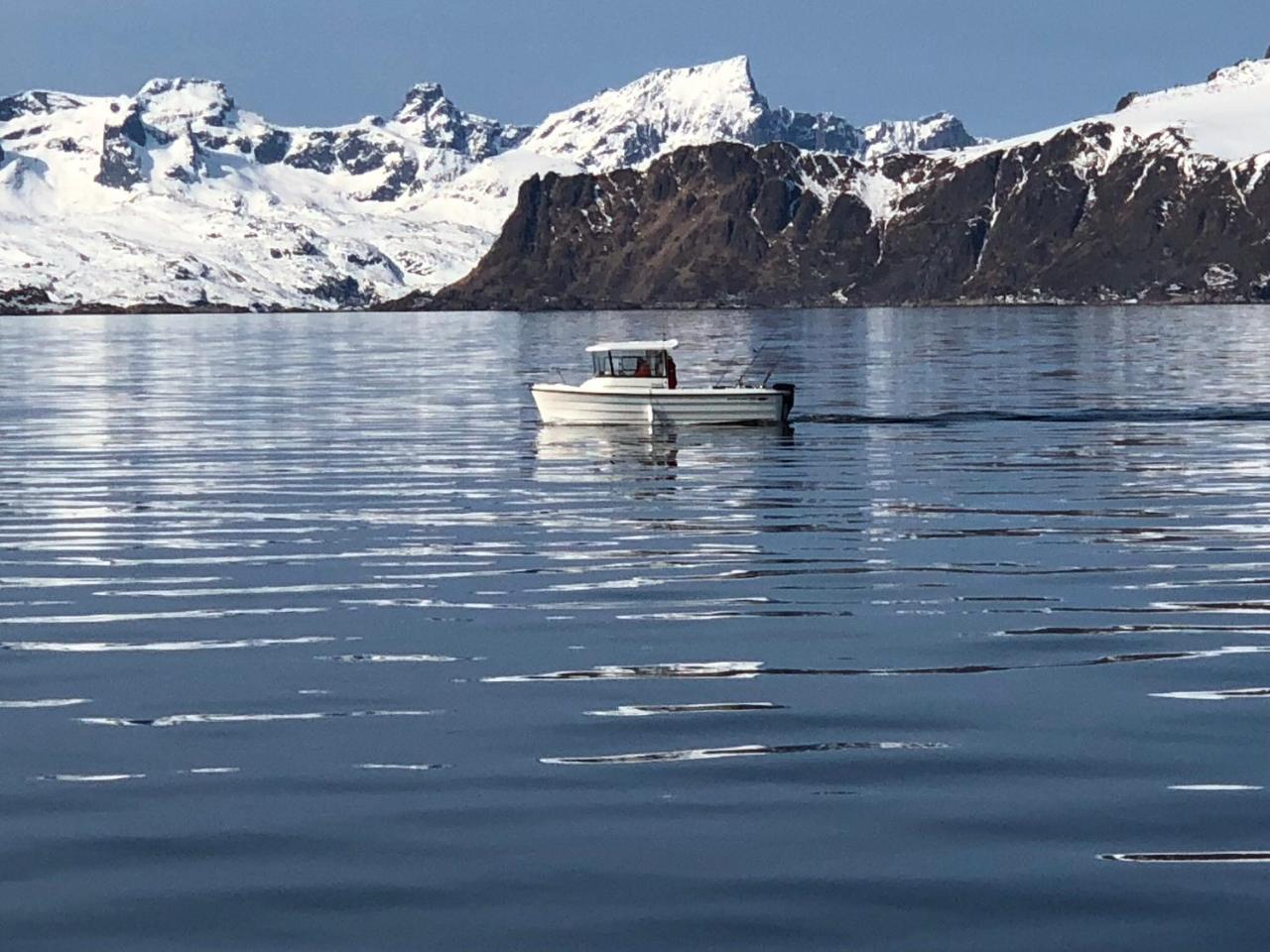 Lofoten Havfiske ليكنيز المظهر الخارجي الصورة
