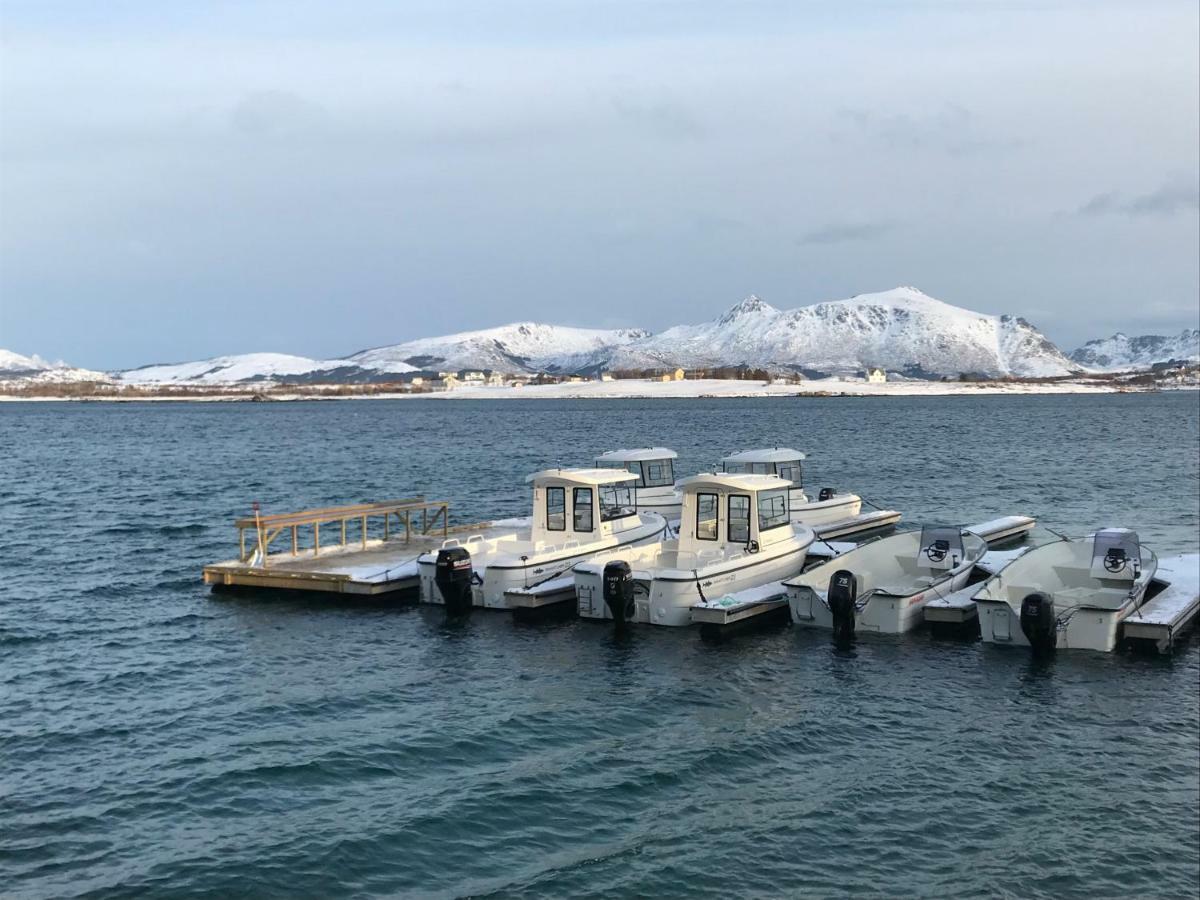 Lofoten Havfiske ليكنيز المظهر الخارجي الصورة