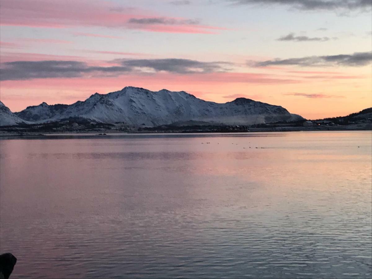 Lofoten Havfiske ليكنيز المظهر الخارجي الصورة