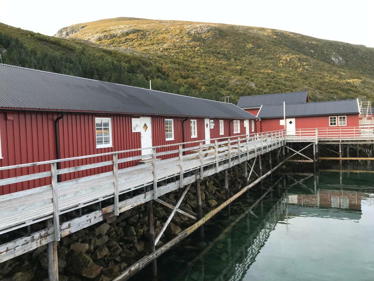 Lofoten Havfiske ليكنيز المظهر الخارجي الصورة