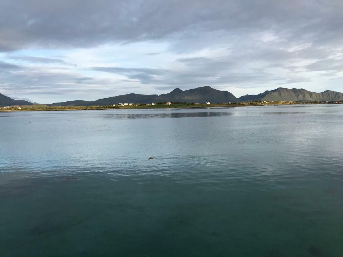 Lofoten Havfiske ليكنيز المظهر الخارجي الصورة